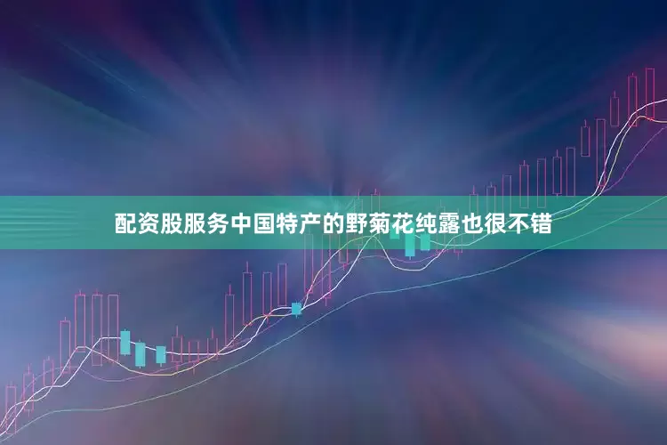 配资股服务中国特产的野菊花纯露也很不错